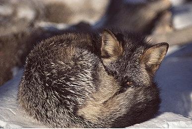 登下一代Xbox？《漫威刀锋战士》最早或于2027年发售